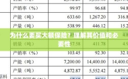 大额保险的价值与必要性解析，为何你需要购买？