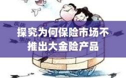 保险市场为何不推出大金险产品探究