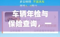 一站式解决车辆保障问题，车辆年检与保险查询服务整合