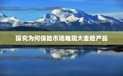 大金险产品在保险市场的缺席之探究