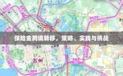 保险金跨境转移，策略实施、实践探索与面临的挑战