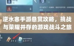 逆水寒手游悬赏攻略，挑战与荣耀并存的游戏战斗之旅