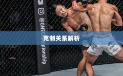 传奇手游职业相克解析，探究各职业间的克制关系之道