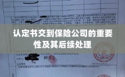 认定书交到保险公司的重要性及后续处理流程详解