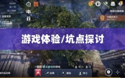 黑色沙漠手游深度解析，游戏体验、坑点探讨