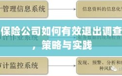保险公司有效退出调查的策略与实践探讨