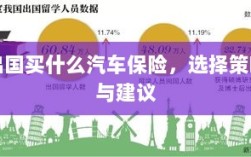 出国购车保险指南，选择策略与建议