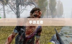 手游王者游戏单机模式探索，独立游戏乐趣体验