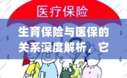 生育保险与医保关系深度解析，是否属于医保范畴？