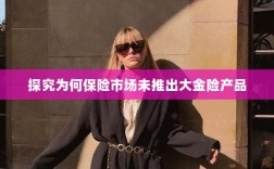 保险市场为何未推出大金险产品探究