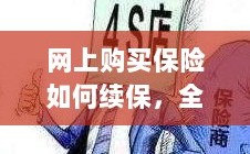 网上购买保险的续保指南，全面解析保险续保流程