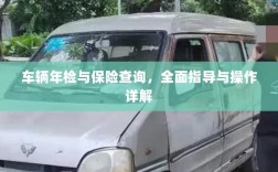 车辆年检与保险查询操作指南，全面指导与详解