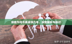 深度解析与探讨，保险承诺期限的隐衷与考量