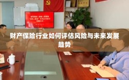 财产保险行业风险评估及未来发展趋势展望