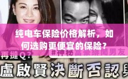纯电车保险价格解析，如何选购更经济的保险方案？