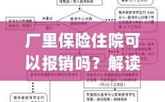 解读保险政策，厂里保险住院能否报销及报销流程详解