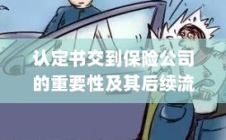认定书对保险公司的重要性及后续流程详解