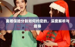 离婚保险分割深度解析与指导，约定要点及操作流程