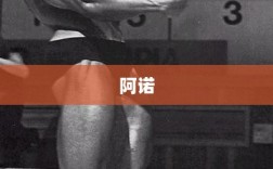 皮阿诺回购股份用途变更引发争议，议题紧迫，两名董事弃权票决定搁置计划实施