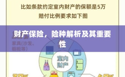 财产保险险种解析与重要性探讨