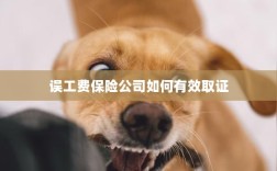 保险公司如何有效取证误工费证据？