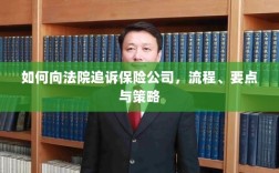 追诉保险公司指南，流程、要点与策略全解析