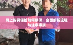 网上购买保险续保指南，流程解析与注意事项全攻略