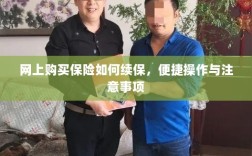 网上保险续保攻略，便捷操作及注意事项