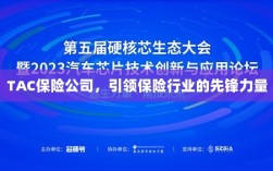 TAC保险公司，引领保险行业的先锋典范