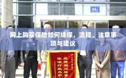 网上保险续保指南，流程、注意事项及建议