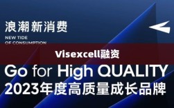 Visexcell融资，引领企业走向资本巅峰的力量