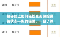揭秘网上查询保险缴纳状态秘籍，保障一目了然