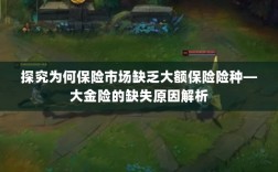大额保险险种缺失解析，探究大金险市场缺失原因