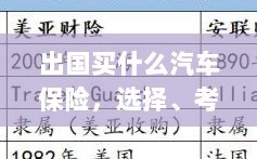 出国购车保险指南，选择、考虑与准备事项全解析
