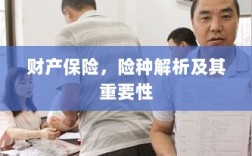 财产保险险种解析与重要性探讨