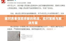 养老保险中断挑战应对方案与策略探讨