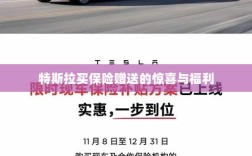 特斯拉保险购买赠品与惊喜福利概述