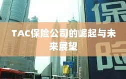 TAC保险公司的崛起及未来展望