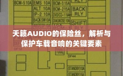 天籁AUDIO保险丝，解析与保护车载音响的核心要素