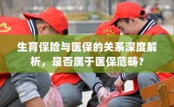 生育保险与医保深度关联解析，究竟是否属于医保范畴？