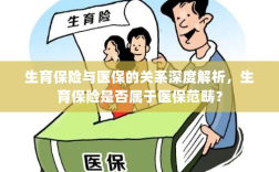 生育保险与医保深度关联解析，生育保险是否归入医保范畴？