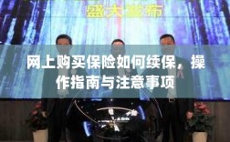 网上购买保险续保攻略，操作指南与注意事项