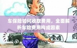 全面解析，车险费用的构成因素与收取方式指南