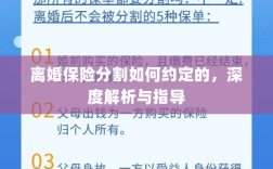 离婚保险分割深度解析与指导，约定要点及操作流程