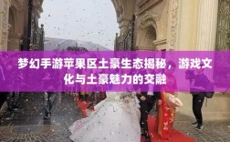 梦幻手游苹果区土豪生态揭秘，游戏文化与土豪魅力的交融