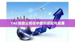 TAC保险公司在中国的崛起与蓬勃发展之路