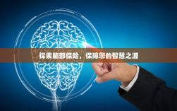 探索脑部保险，守护智慧之源的保障之道