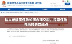 私人老板如何合理交保险税，探索保险与税务的交融之道