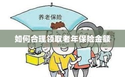 如何合理申领老年保险金额？