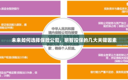 未来如何选择保险公司，明智投保的关键因素解析